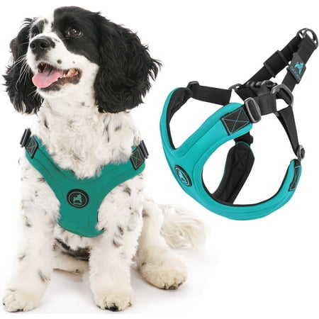 Gooby Escape Free Sport Harness - Turquoise, Medium - Step-In Dog Harness