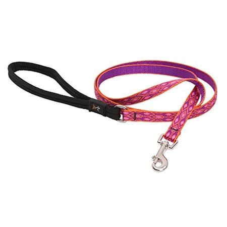 LupinePet Originals 1/2 inch Alpen Glow 6-foot Dog Leash with Padded Handle