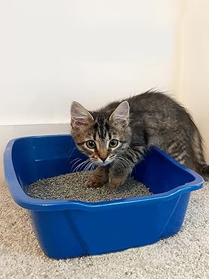 Van Ness Small Cat Litter Pan - Open Design, Assorted Colors, 14x10x3.5 inches