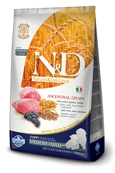 Farmina N&D Ancestral Grain Lamb & Blueberry Puppy Medium/Maxi Breed Dry Dog Food