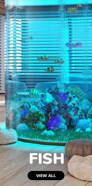 Coastal Pet New Earth Soy Comfort Wrap Dog Harness Fuchsia - Large