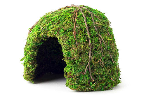 Galapagos Mossy Dome Terrarium Hideaway - 6 Inch Reptile/Amphibian Hide