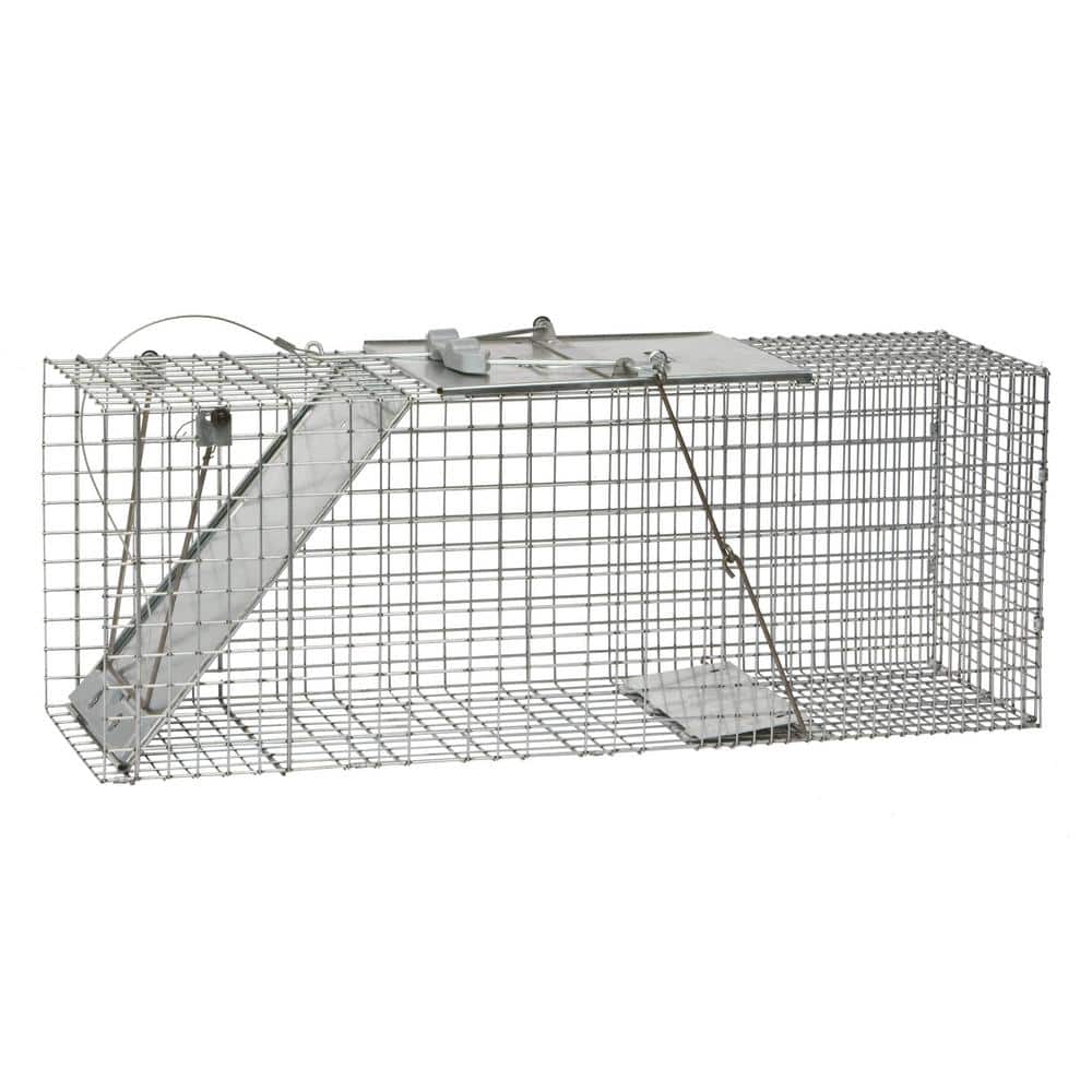 Havahart Easy Set Large Metal 1-Door Wild Animal Trap
