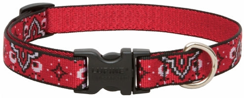 Lupine 3/4-Inch Wild West 13-22-Inch Adjustable Dog Colla...