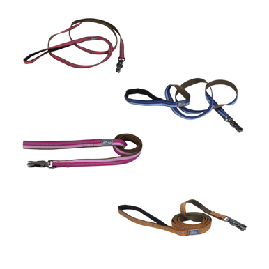 Coastal K9 Explorer Reflective Dog Leash, 1 inch x 6 ft, Scissor Snap, Goldenrod