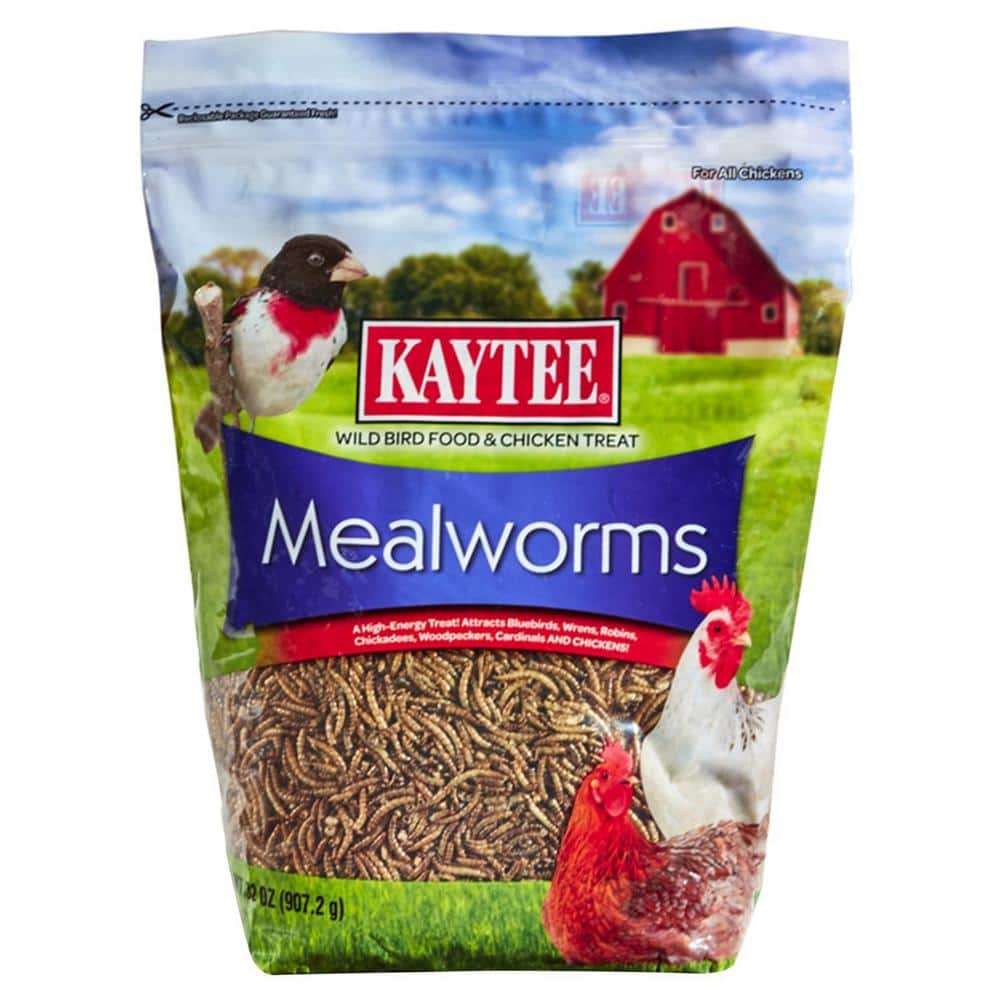 Kaytee Mealworm Food Pouch 32 Ounces