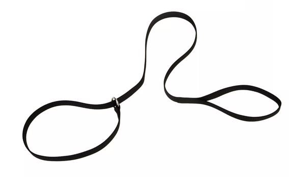 Coastal Kennel Dog Lead 6' x 5/8"