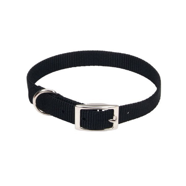 Coastal Single-Ply Nylon Dog Collar, Black, 5/8" x 14" - Small Breed Adjustable Pet Collar