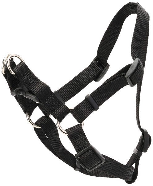 Coastal Pet Comfort Wrap Adjustable Dog Harness, Black, 3/4 Inch, 20-30"