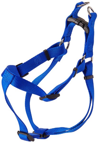 Coastal Comfort Wrap Adjustable Nylon Dog Harness, Blue, 20-30 in