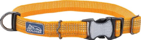 Coastal K9 Explorer Brights Reflective Adjustable Dog Collar, Desert, 1" x 18-26"