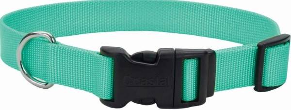 Coastal Pet Tuff Dog Collar - Teal - 3/4 inch x 14-20 inch - Adjustable with Plastic Buckle