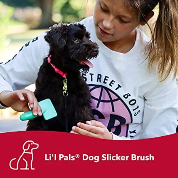 Li'l Pals Self-Cleaning Dog Slicker Brush - Puppy & Toy Breed Grooming - Removes Tangles & Mats