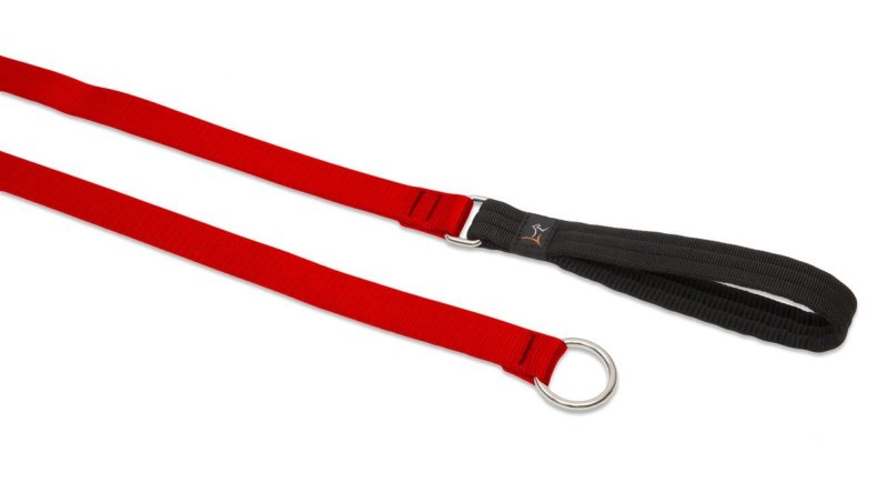 Lupine Slip Lead for Medium and Larger Dogs, 3/4-Inch Wid...