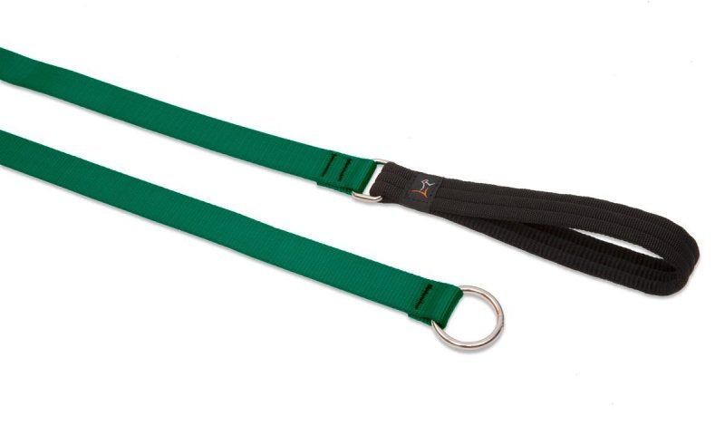 Lupine Slip Lead for Medium and Larger Dogs, 1-Inch Wide ...