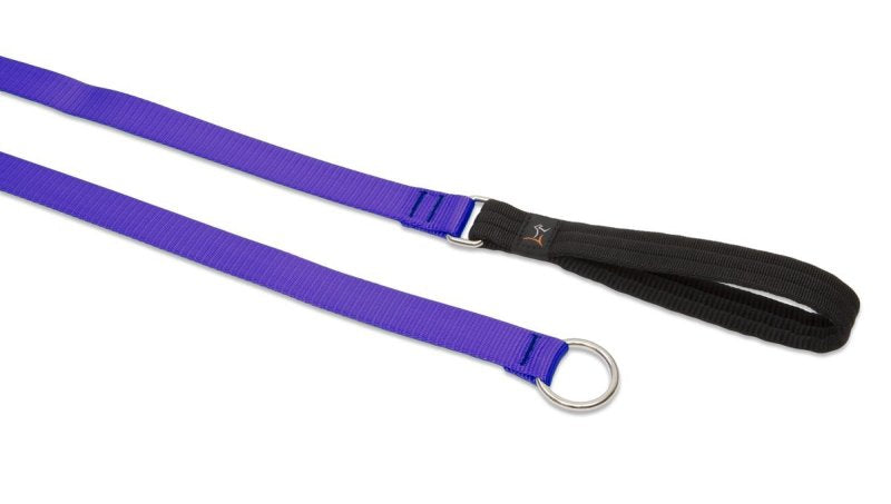 Lupine Slip Lead for Medium and Larger Dogs, 1-Inch Wide ...