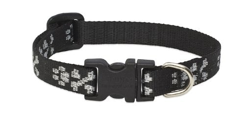 LupinePet Originals 1/2" Bling Bonz Dog Collar, Adjustable 10-16" for Small Dogs