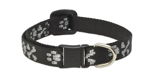 LupinePet Originals Bling Bonz Cat Safety Collar 8-12"
