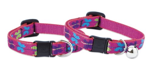 LupinePet Originals 1/2" Wing It Cat Safety Collar, 8-12"