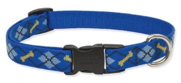 LupinePet Originals Dapper Dog Collar - 3/4 Inch, 9-14 Inch Adjustable