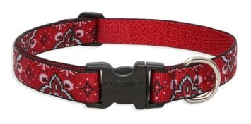 Lupine 1-Inch Wild West 16-28-Inch Adjustable Dog Collar ...