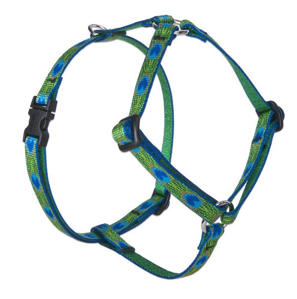 Lupine® 1/2-Inch Tail Feathers 9 to 14-Inch Roman Harness...