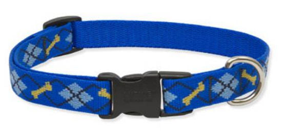 LupinePet Originals Dapper Dog Collar - 3/4 Inch Wide, Adjustable 15-25 Inches