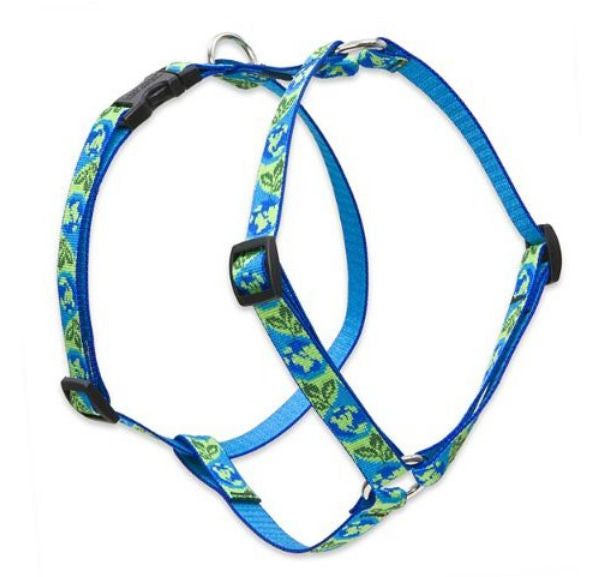 Lupine 3/4" Earth Day 14"-24" Roman Harness