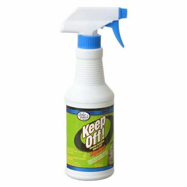 Four Paws Keep Off! Indoor & Outdoor Dog & Cat Repellent Spray - 16 oz