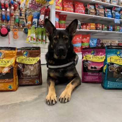 Honey I'm Home Buffalo Liver Wafer Dog Treats - Honey Coated, Natural Dog Chews