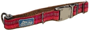 Coastal K9 Explorer Reflective Dog Collar - Berry Red, Adjustable 5/8 inch, Size Small (10-14")