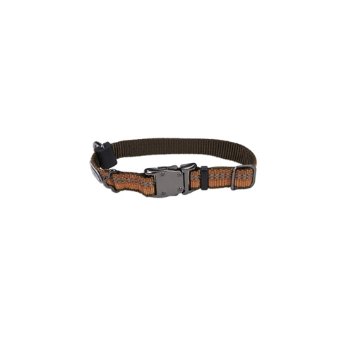 Coastal K9 Explorer Reflective Dog Collar, 5/8 in x 10-14 in, Campfire Orange, Small, Adjustable