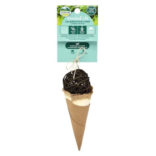 Oxbow Enriched Life Celebration Cone Small Animal Chew Toy