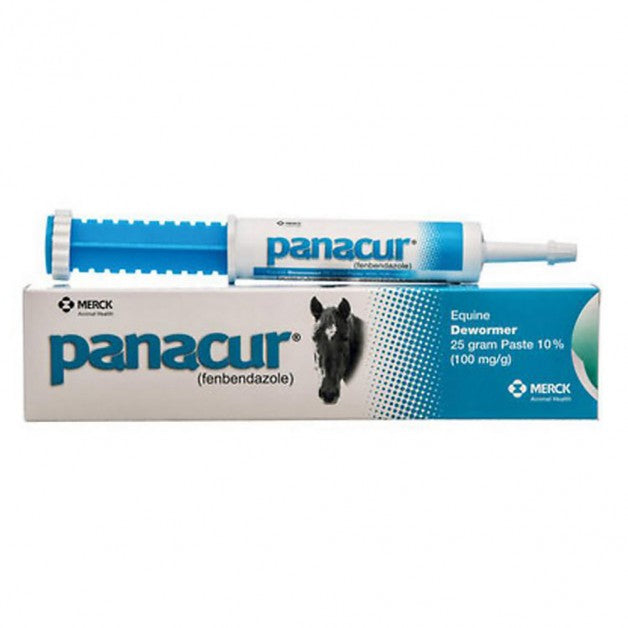 Panacur Equine Dewormer Paste 10% Fenbendazole - Single Dose 25g