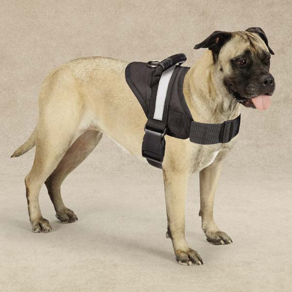 Guardian Gear GG Excursion Harness 26-36In L Blk