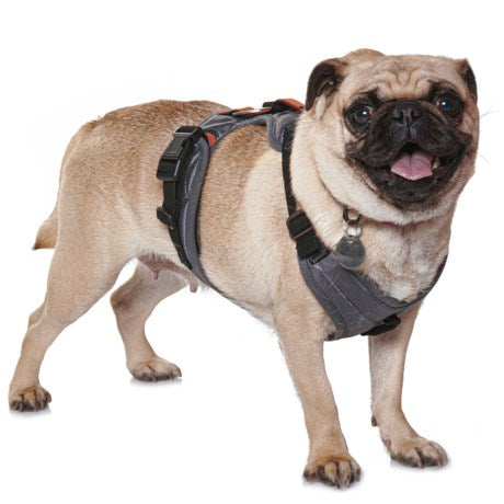 Gooby Pioneer Dog Harness - Gray, Large - Control Handle & Seat Belt Restrain