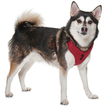 Gooby Pioneer Dog Harness - Red, XL - Control Handle & Seat Belt Feature