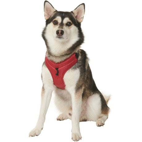 Gooby Pioneer Harness - Red - Size M - Dog Harness GPH-63