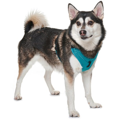 Gooby Pioneer Dog Harness XL Turquoise Control Handle Seat Belt