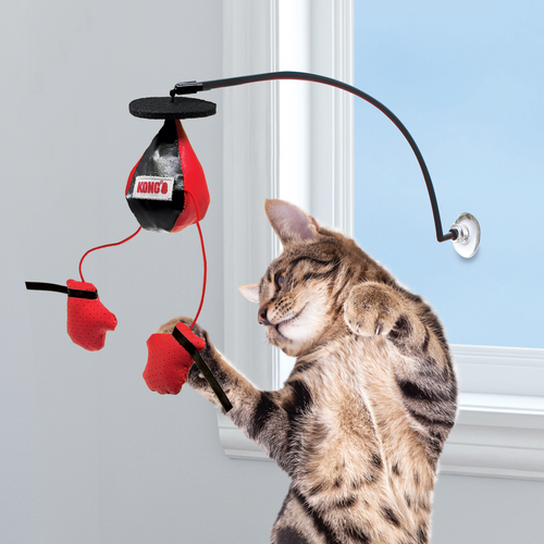 KONG Connects Window Boxing Cat Toy Interactive Punching Bag with Catnip