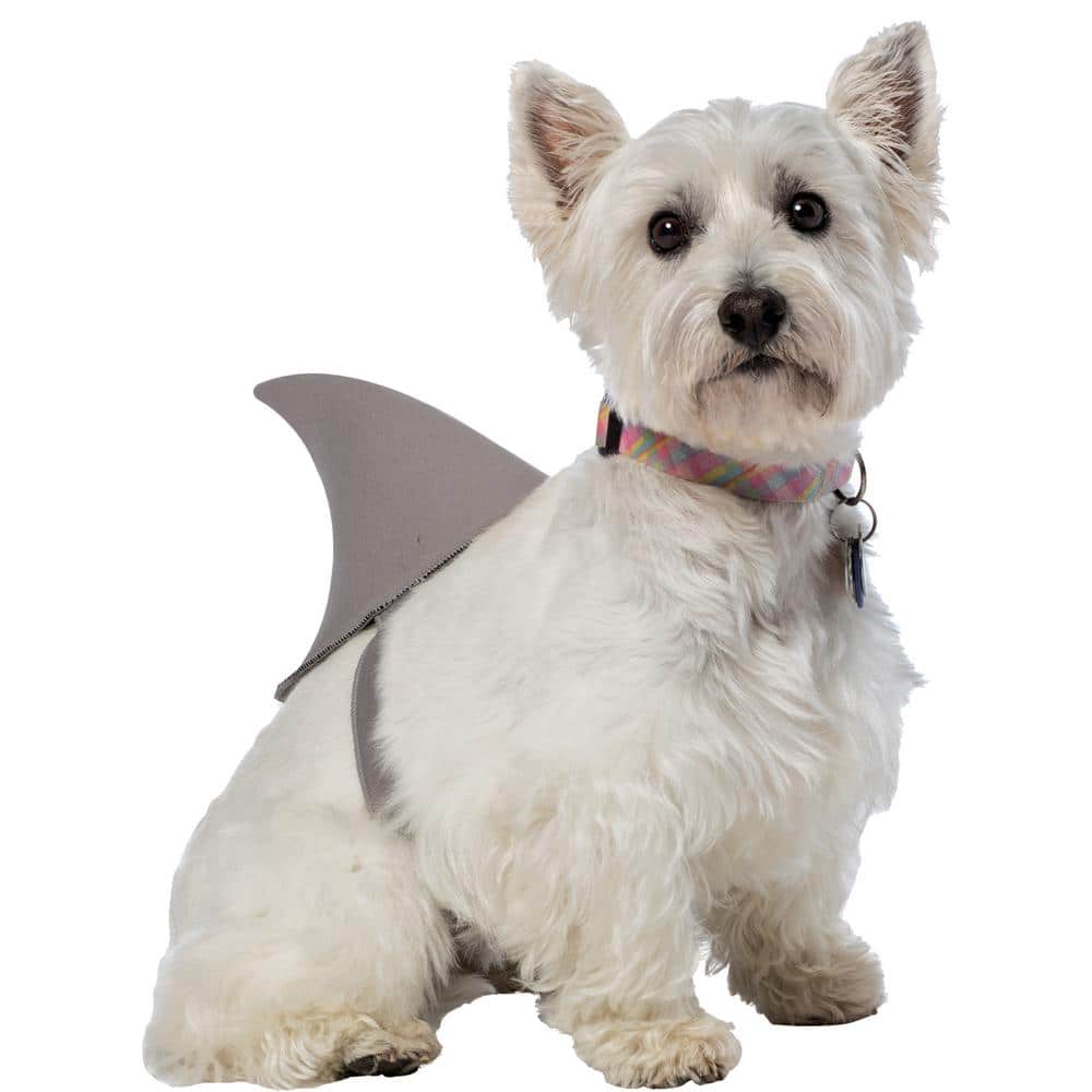 Shark Fin Dog Med/Lg