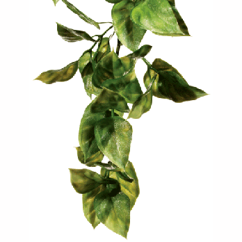 Exo Terra Amapallo Medium Plastic Terrarium Plant - Reptile & Amphibian Habitat Decor