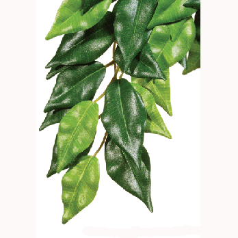 Exo Terra Ficus Silk Terrarium Plant Large - PT3050 Reptile Decor