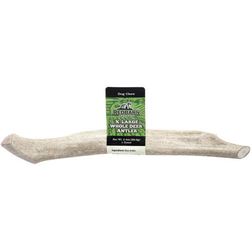 Redbarn Whole Deer Antler X-Large, Natural Dog Chew Treat, Long Lasting