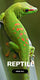 Sticky Image