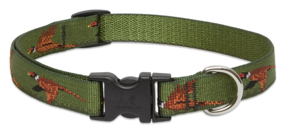 LupinePet 3/4-Inch Fly Away 9-14 Inch Adjustable Dog Coll...