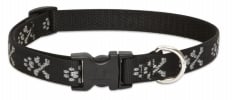LupinePet Originals 3/4" Bling Bonz Dog Collar, Adjustable 15-25"