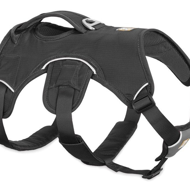 Ruffwear Flat Out Leash - Dog Leash | Durable, Adjustable, Everyday Walking Leash