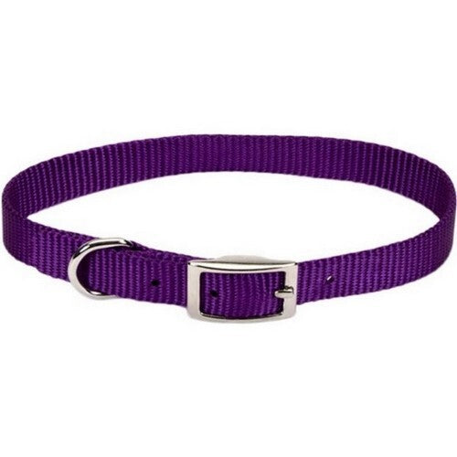 Coastal Single-Ply Nylon Dog Collar - Purple - 3/8 x 12 Inch