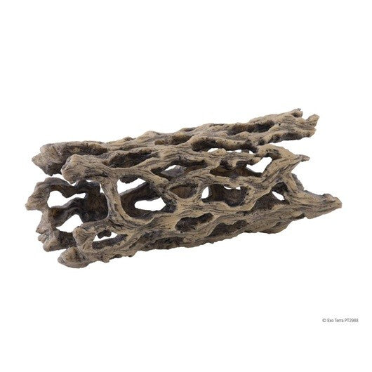 Exo Terra Cholla Cactus Skeleton - Medium - Reptile Hideaway Decor